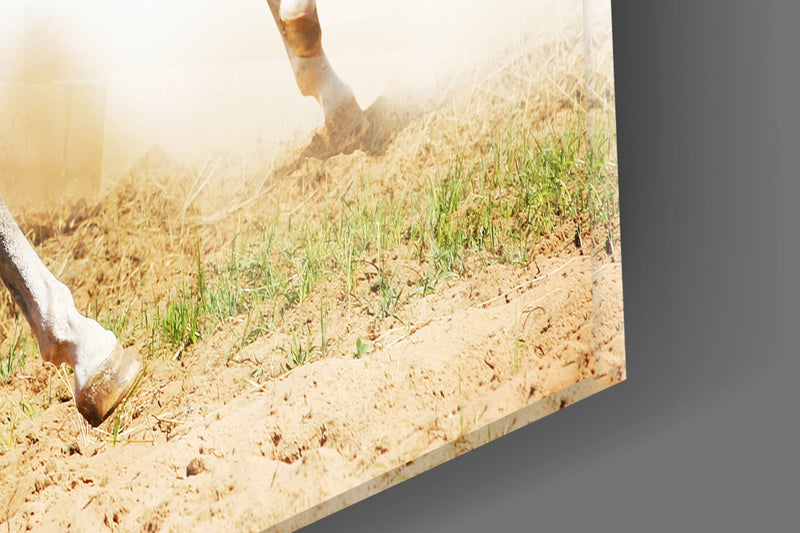 Running Horses Glass Wall Art
