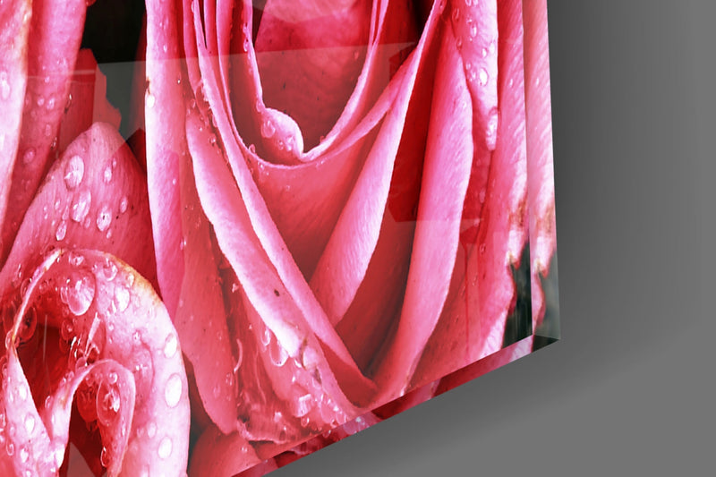 Pink Rose Glass Wall Art