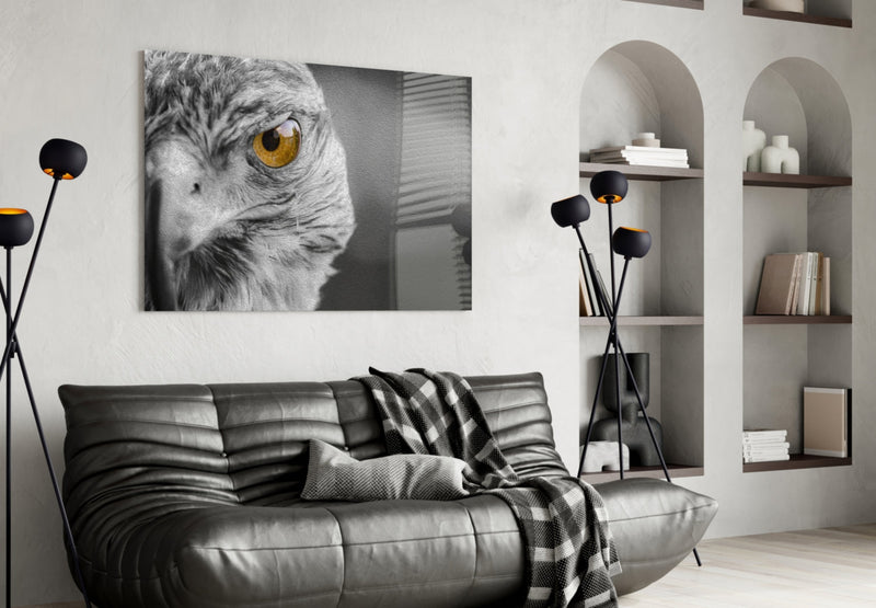 Falcon Glass Wall Art