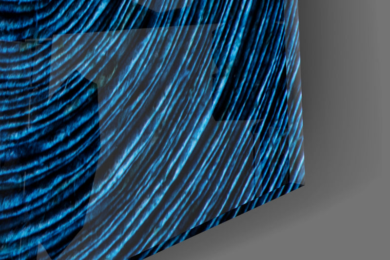 Colored Spiral Glass Wall Art