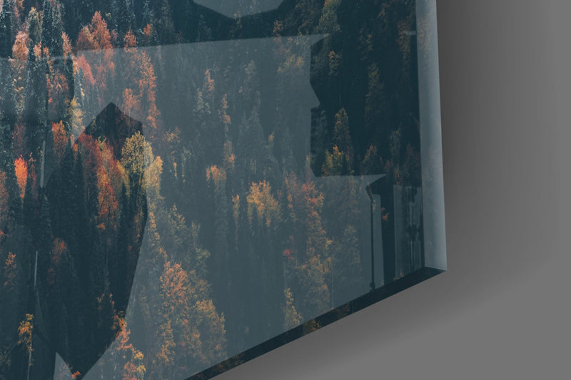 Forest Glass Wall Art