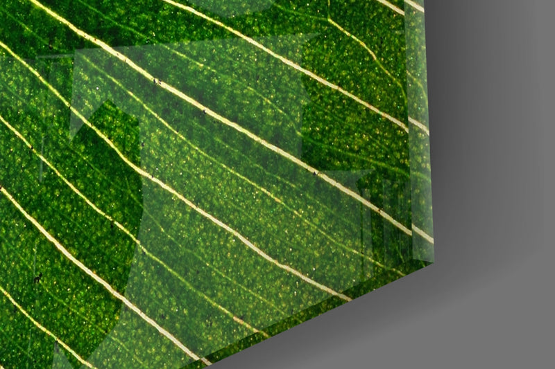 Green Leaf Glass Wall Art