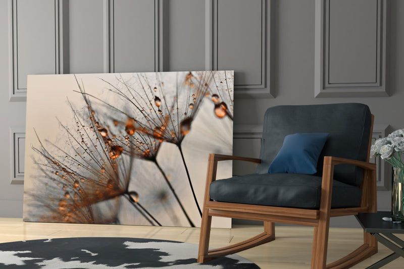 Cinnamon Dandelion Glass Wall Art