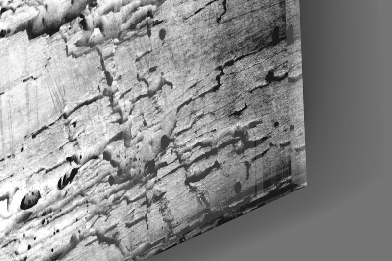 Red Rose Glass Wall Art