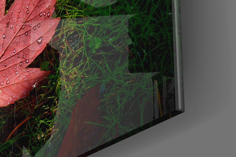 Pink Leaf Glass Wall Art