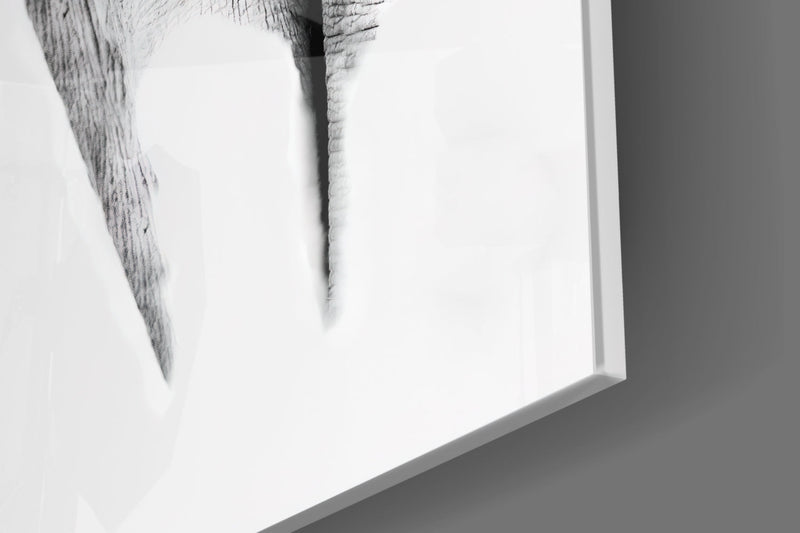 Elephant Glass Wall Art