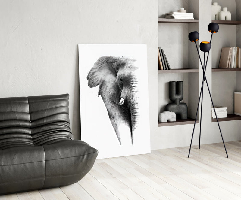 Elephant Glass Wall Art