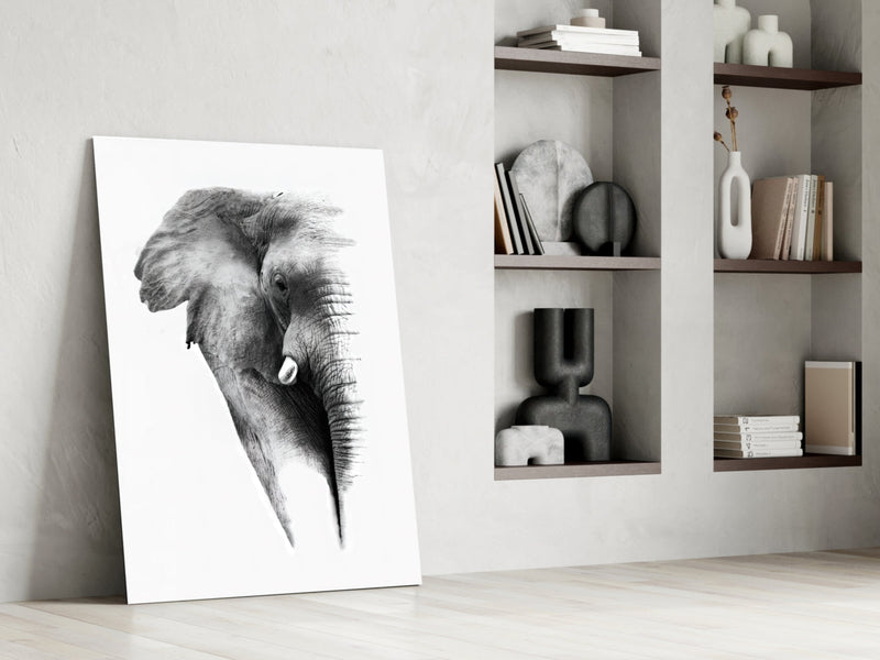 Elephant Glass Wall Art