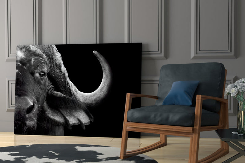 Bison Glass Wall Art