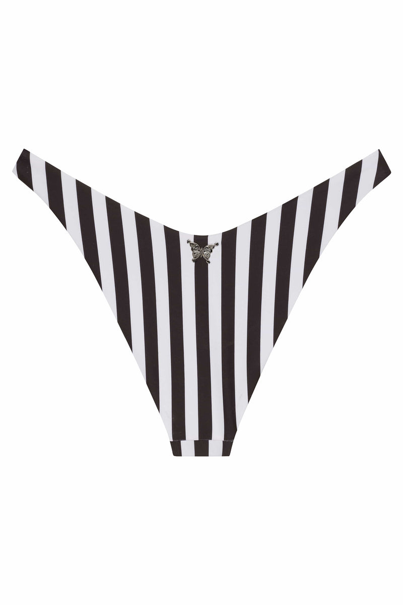 Orchids of Biscayne Bottom