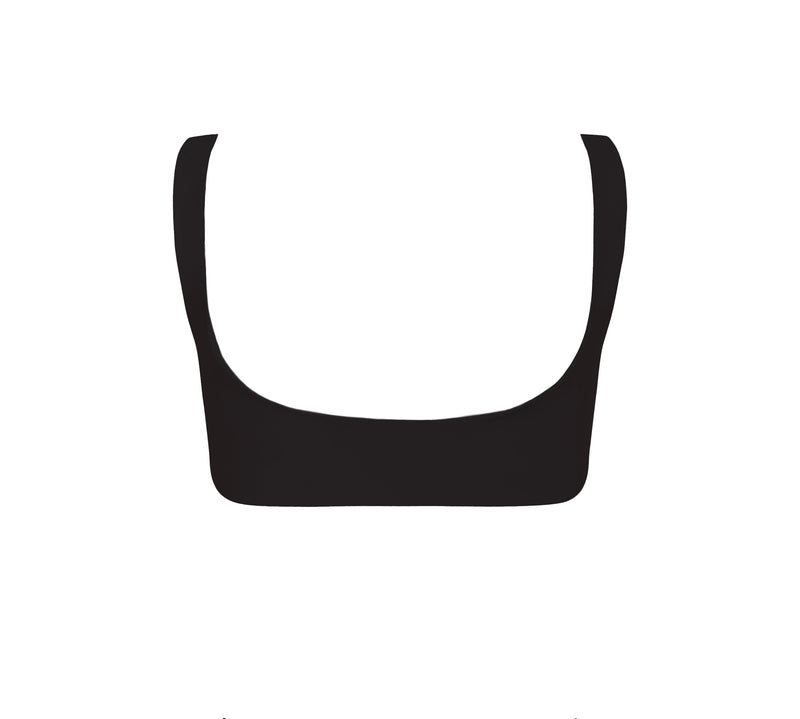 Orchids of Biscayne Top