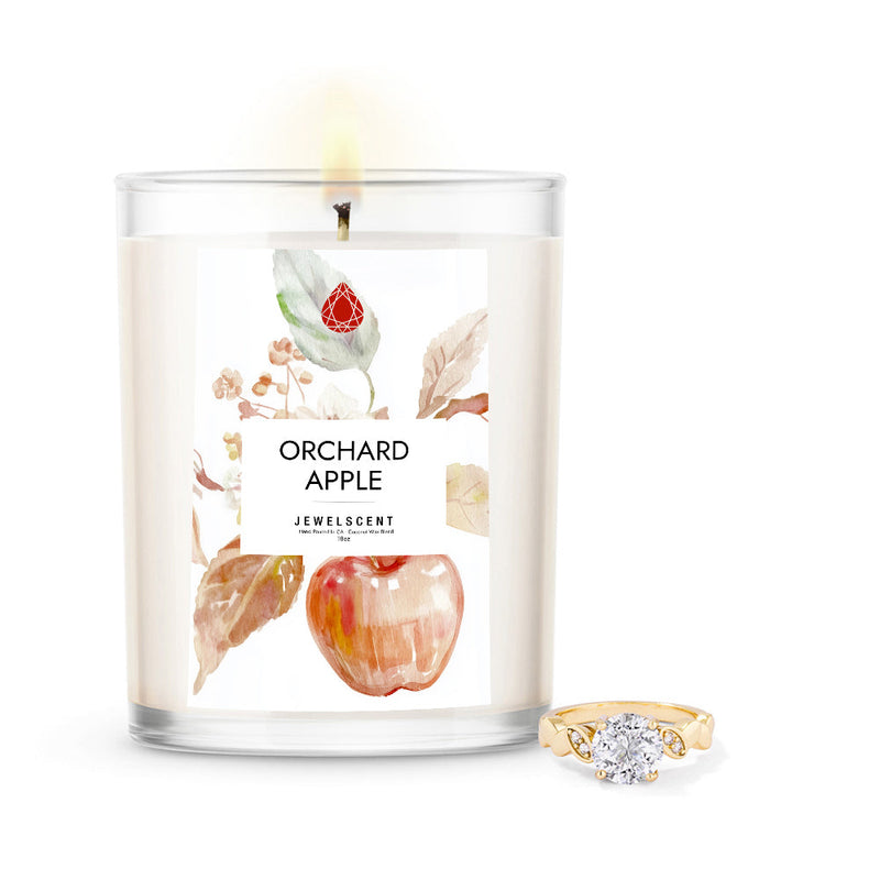 Orchard Apple 18oz Home Jewelry Candle