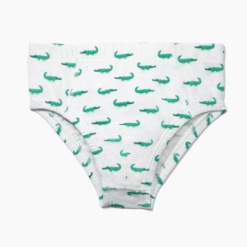 boys brief underwear