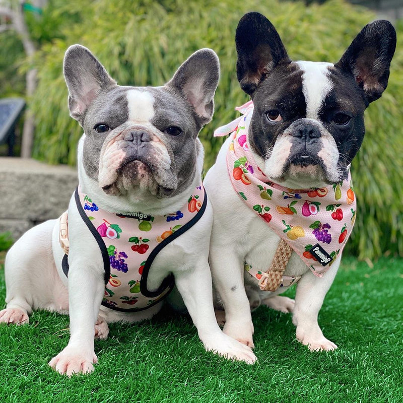 Frootie Patootie Cooling Bandana