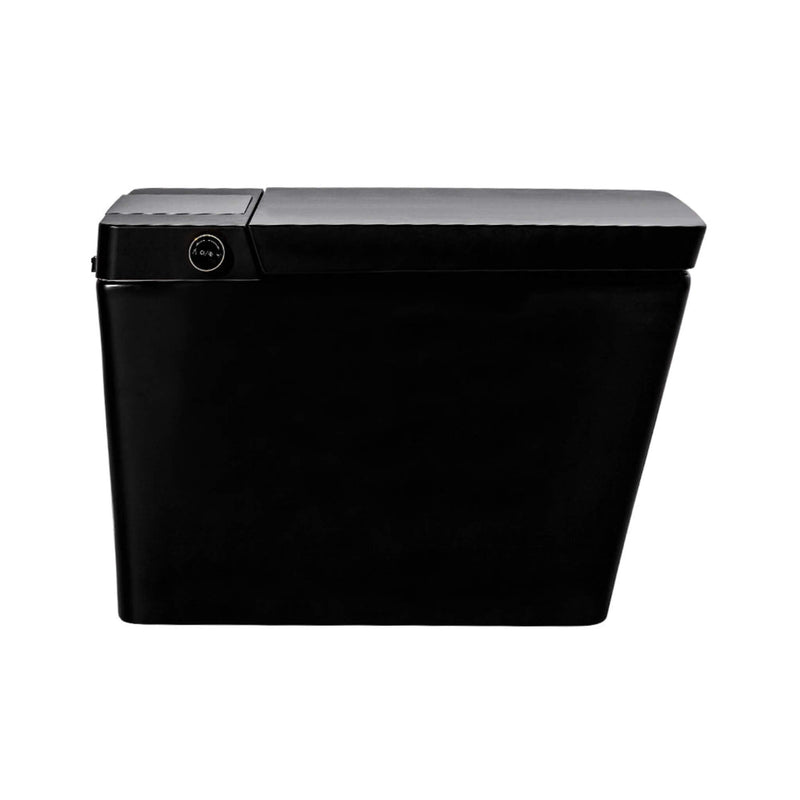 Alora Premium Multifunctional Single-Piece Automatic Smart Toilet With Remote Control, Matte Black (96471352)