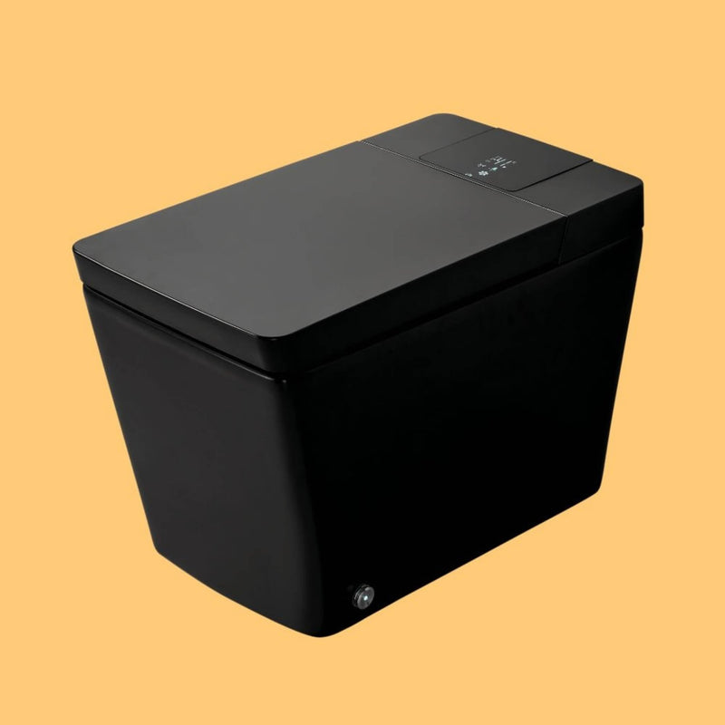 Alora Premium Multifunctional Single-Piece Automatic Smart Toilet With Remote Control, Matte Black (96471352)