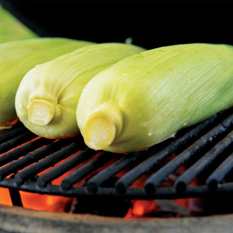 Primo Oval Large 300 Ceramic Kamado BBQ Grill W/ Stainless Steel Grates [PGCLGH] (SAK14871)