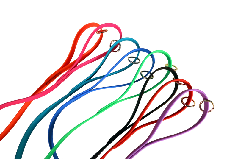 Biothane® Dog Leash — Waterproof, Made in the USA