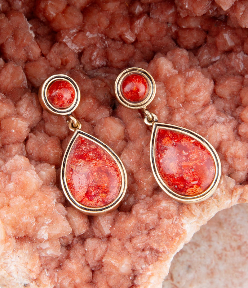 Red Sponge Coral Golden Drop Earrings