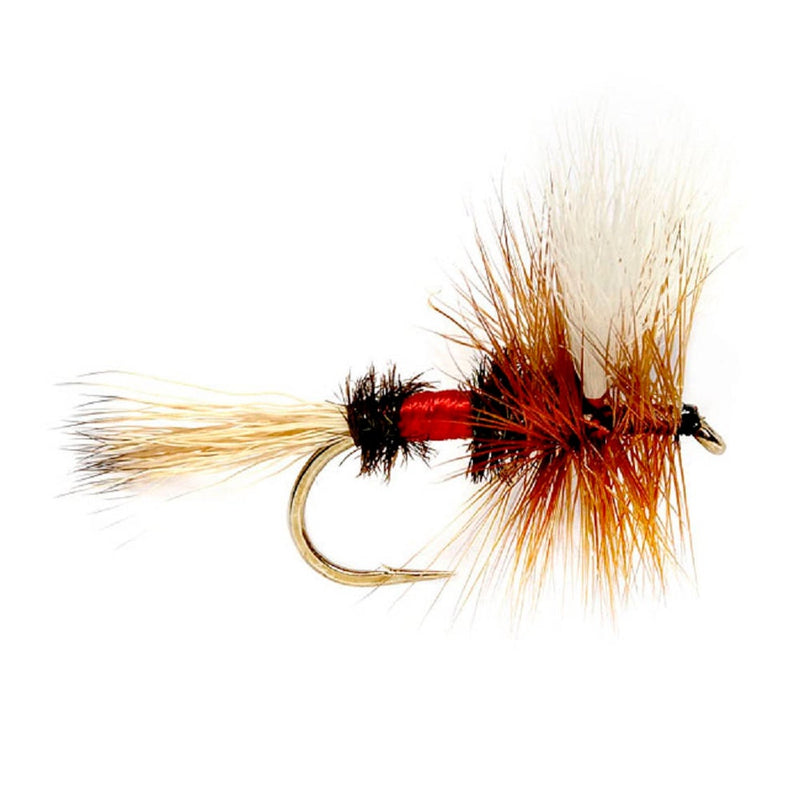 Barbless Royal Wulff Classic Hair Wing Dry Fly - 6 Flies Hook Size 12