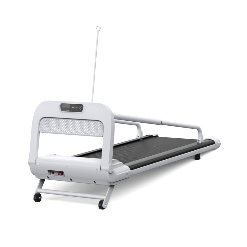 Smart Pet Treadmill With Adjustable Speed For Small And Medium Dogs (SAK72537)