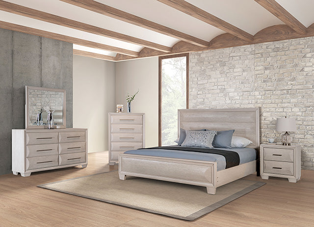 Hinwitz - Chest