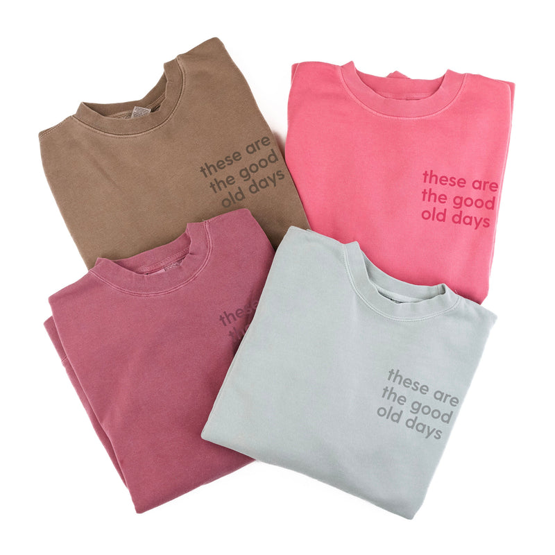 Embroidered PIGMENT Crewneck - Tone on Tone - These Are The Good Old Days