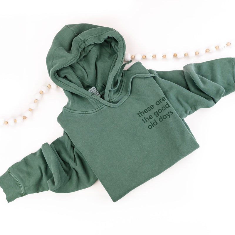 Embroidered PIGMENT HOODIE - Tone on Tone - These Are The Good Old Days