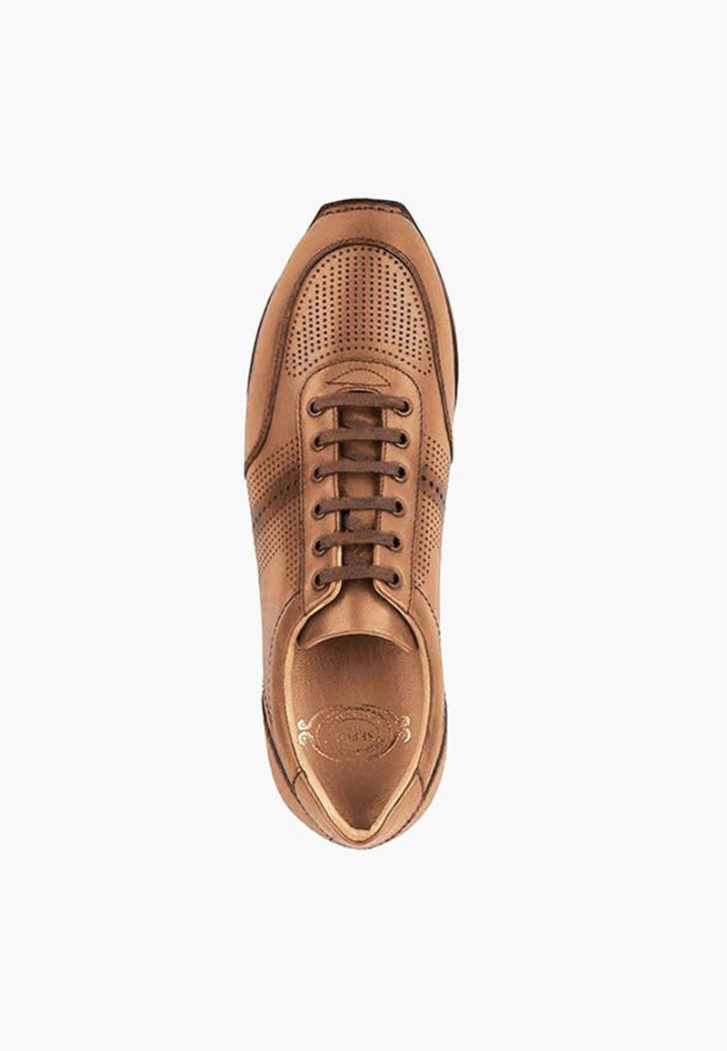 Toronto Sneakers Brandy