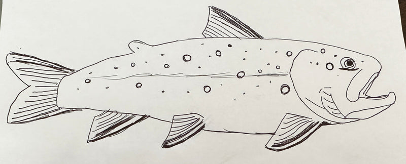 Brook Trout - Gray w/ White - Snapback Hat