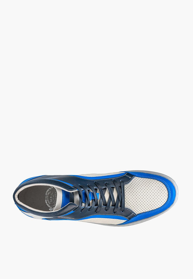 Urban High Top White Blue