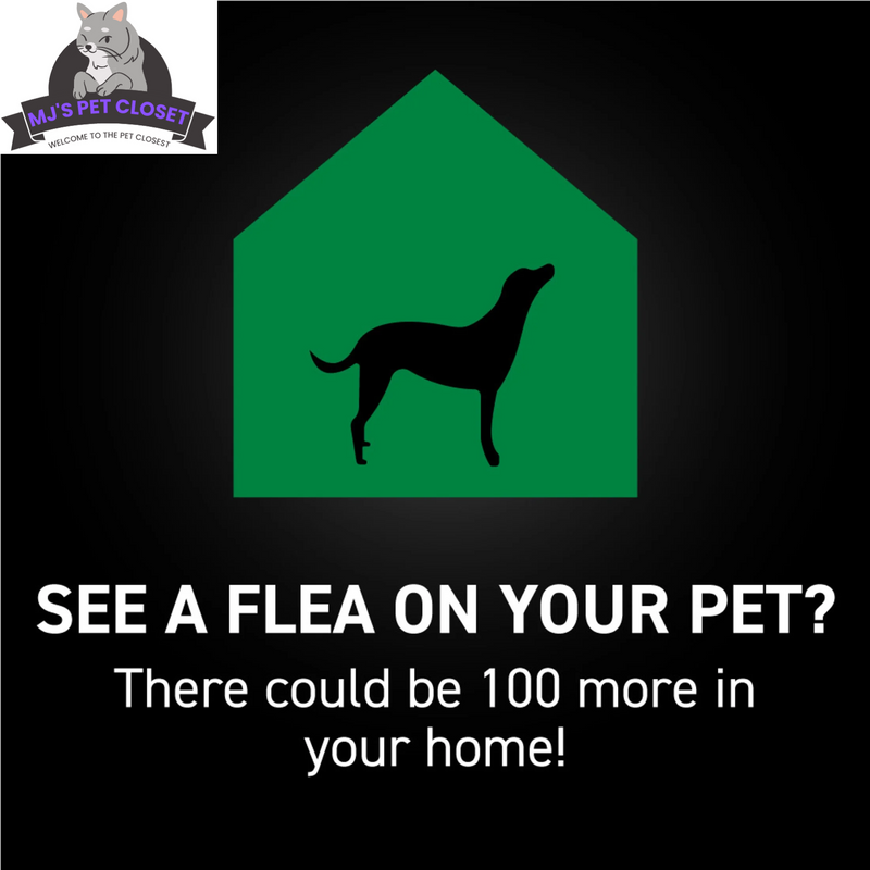 Protect Your Dog from Fleas & Ticks with NEXTSTAR: Fast-Acting 3-Month Supply for Dogs 45-88 Lbs