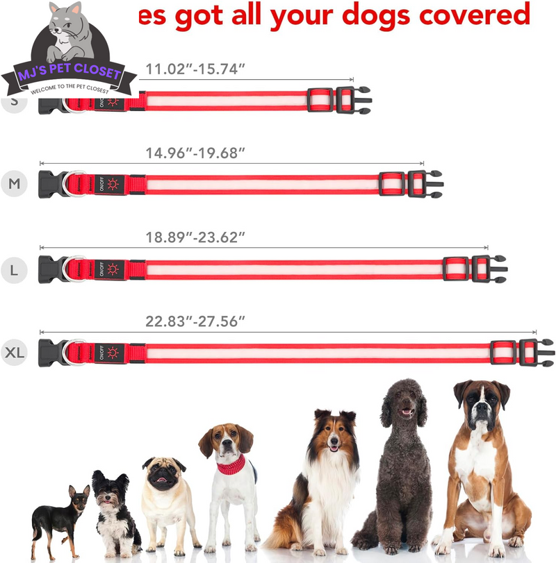 Brighten up your pup's night walks with our adjustable LED Dog Collar! 🌟 USB rechargeable & super safe! 🐾❤️