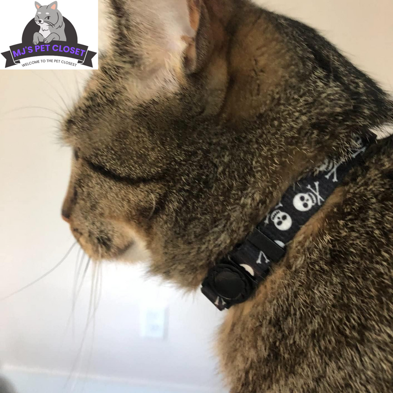 Cute & Stylish Breakaway Cat Collars! 🐾🎀 2-pack in Pink & Black Skull Design, Perfect for Your Fashionable Feline! 💖🐱