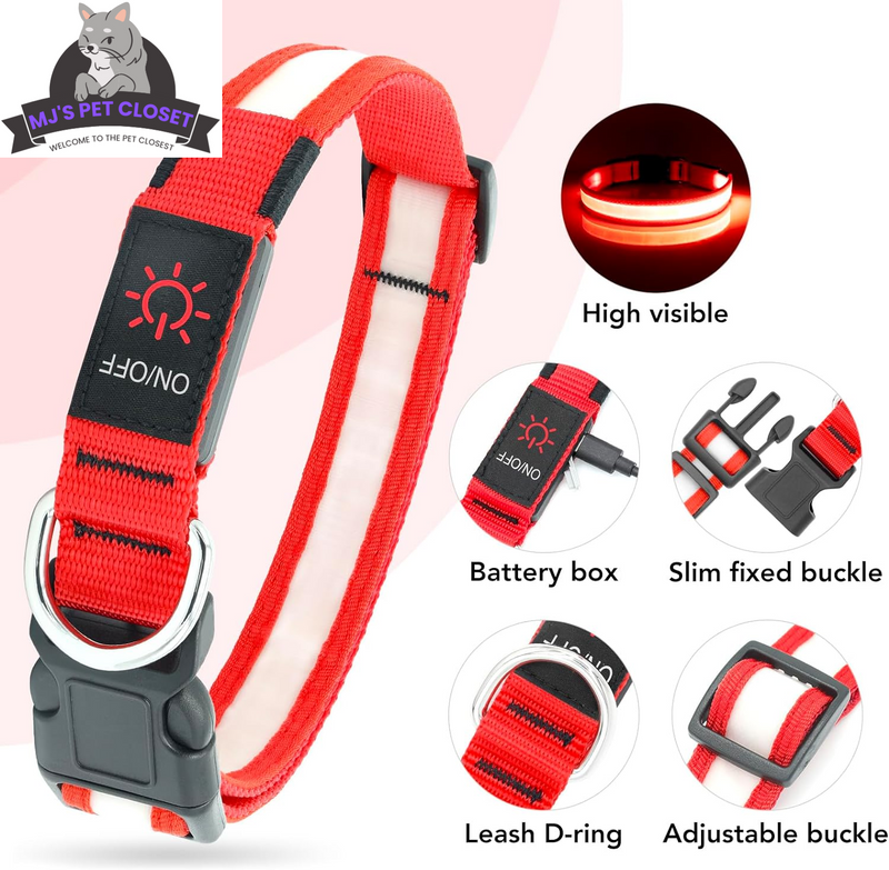 Brighten up your pup's night walks with our adjustable LED Dog Collar! 🌟 USB rechargeable & super safe! 🐾❤️